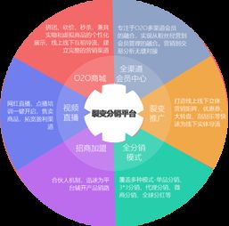 帝隆分销系统 前端商城 分销系统 新零售系统 门店系统