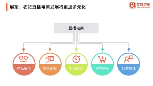 艾媒咨询 2021年中国农产品电商发展报告